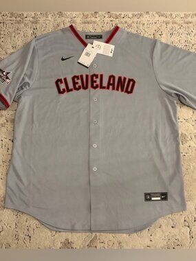 Nike Authentic Cleveland Guardians Jose Ramirez #11 2025 Gray Jersey
